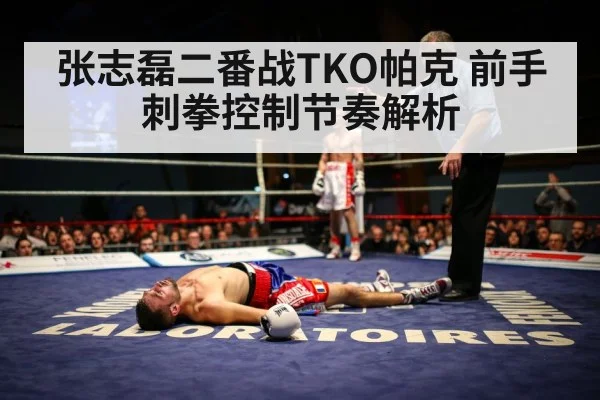 张志磊二番战TKO帕克 前手刺拳控制节奏解析